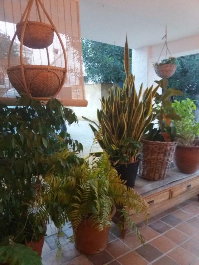 Casa Eline De Lujo Casco Antiguo Altea Piscina Privada Y Jardin Villa Dış mekan fotoğraf